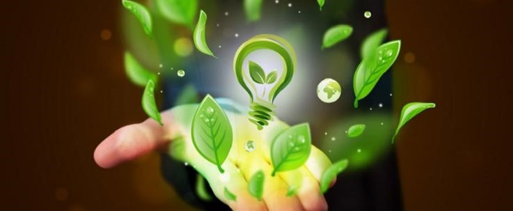 Medio Ambiente